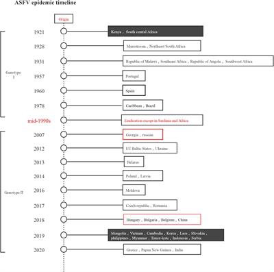 Prospects for the application of infectious virus detection technology based on propidium monoazide in African swine fever management